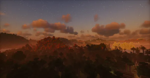 Autumn forest at dusk with orange clouds